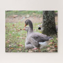 Search for geese puzzles Nature