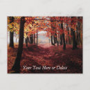 Search for autumn forest postcards Leaves