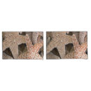 Search for starfish pillowcases Animal