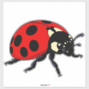 Search for black beetle stickers Red