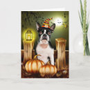 Search for dog halloween cards Boston terrier