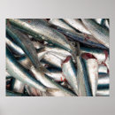 Search for sardine art Sea