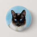Search for siamese badges Cat