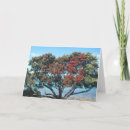 Search for pohutukawa cards Kiwi