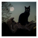 Search for front posters Cat