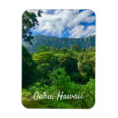 Search for rainforest magnets Mountain
