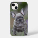 Search for pad iphone cases Animal