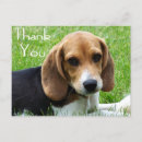 Search for beagle puppies cards Puppy