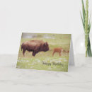 Search for bison birthday cards Nature