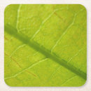 Search for green leaf coasters Nature photography