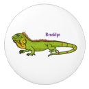 Search for lizard knobs and pulls Cute