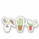 Search for aloe vera stickers Cactus
