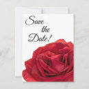 Search for rose red postcards Flower