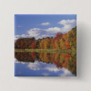 Search for made in usa badges Massachusetts