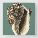 Search for teal clocks Beach