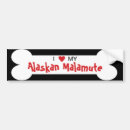 Search for alaskan malamutes bumper stickers Canine