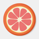 Search for summer fruit magnets Juicy