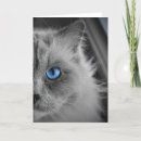 Search for ragdoll cat cards Feline