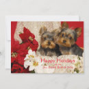 Search for yorkie puppy postcards Little
