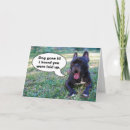 Search for french bulldog get well cards Feel better