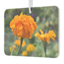 Search for marigold gifts Floral