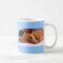 Search for chihuahua mugs Cute