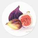 Search for figs stickers Purple