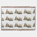 Search for horse photo blankets Animals