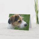 Search for form cards Dog