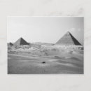 Search for walter postcards Egypt