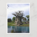 Search for madagascar postcards Tree