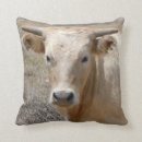 Search for cute cow cushions Cowgirl
