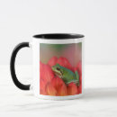 Search for darrell mugs Pacific northwest