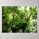 Search for dominican posters Landscape