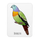 Search for pigeons magnets Dove