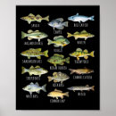 Search for freshwater fish posters Lake