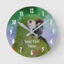Search for macaws photography Animal
