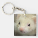 Search for ferret ferret key rings Cute
