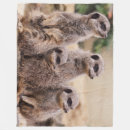 Search for meerkat blankets Desert