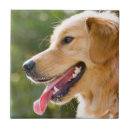 Search for tongue tiles Smile