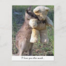 Search for wallabies postcards Cute