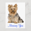 Search for yorky postcards Miss you