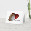 Search for norwegian forest cat Orange