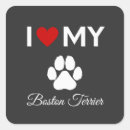 Search for boston terriers stickers Pets