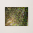 Search for feather puzzles Nature