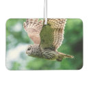 Search for owl car air fresheners Nature
