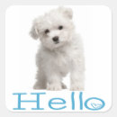 Search for white dog stickers Puppies