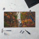 Search for mossy mousepads Tree