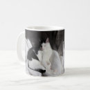 Search for black cat sleeping mugs Kitten