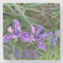 Search for iris coasters Blue
